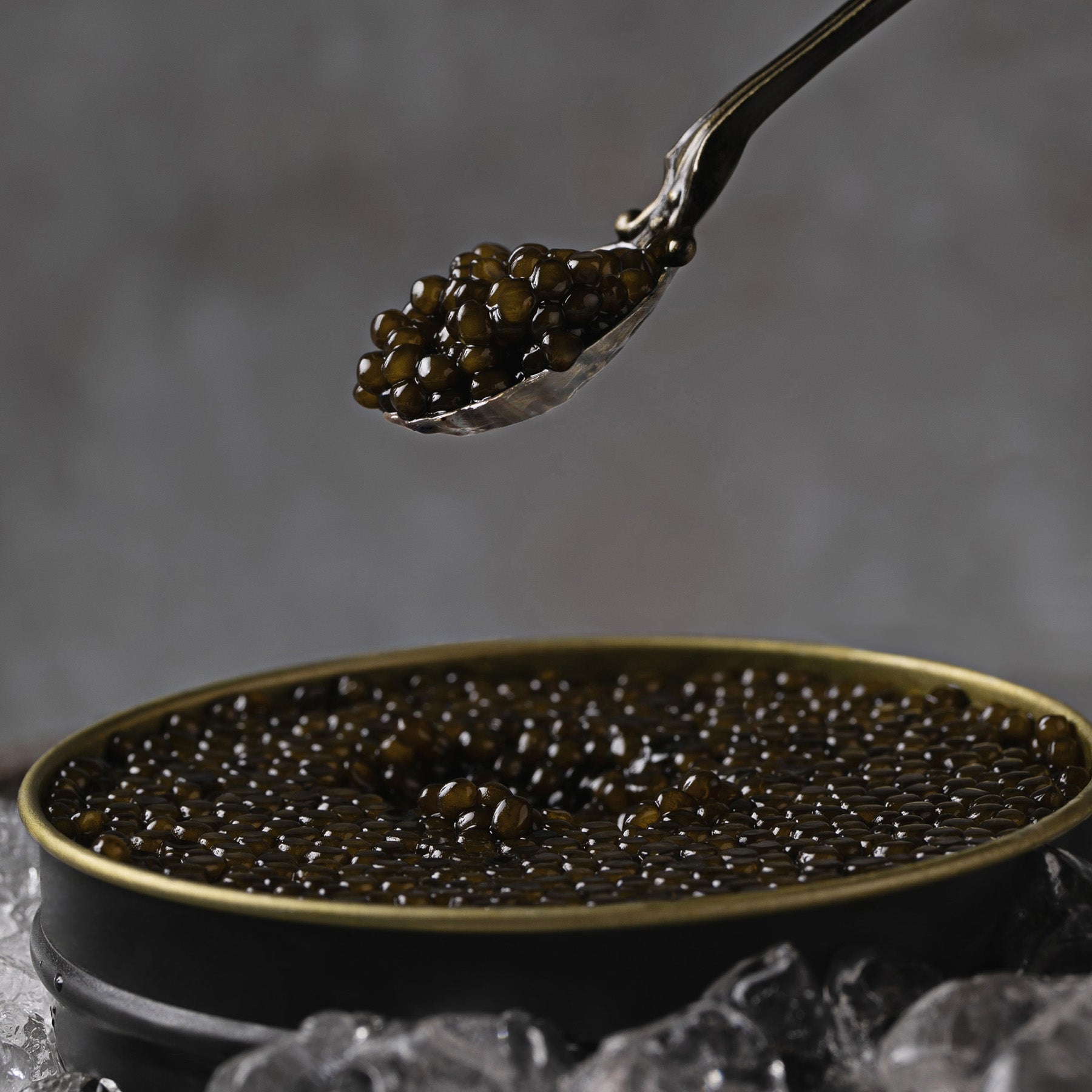 ELITE CLUB CAVIAR Schrenkii x Dauricus - Azure Caviar