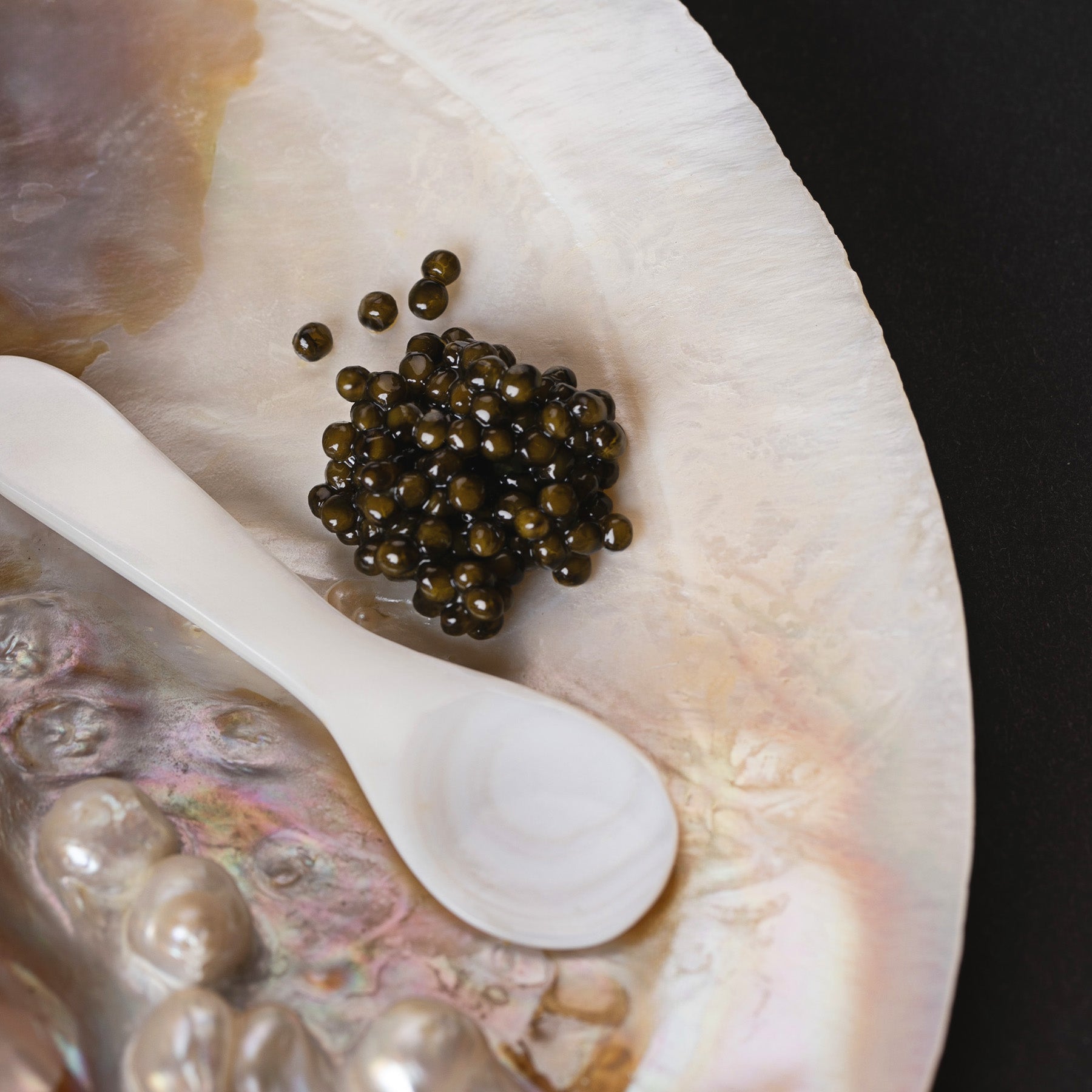 OSCIETRE SUPRÊME CAVIAR Gueldenstaedtii - Azure Caviar