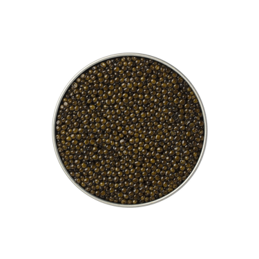 ELITE CLUB CAVIAR Schrenkii x Dauricus - Azure Caviar