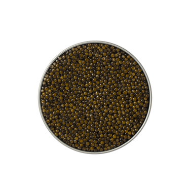 ELITE CLUB SIGNATURE CAVIAR  Schrenkii x Dauricus