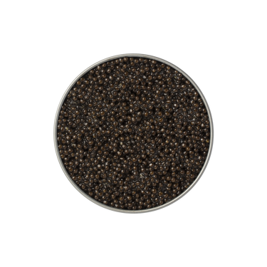 LA DOLCE VITA CAVIAR Transmontanus - Azure Caviar