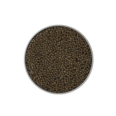 OSCIETRE SUPRÊME CAVIAR Gueldenstaedtii - Azure Caviar