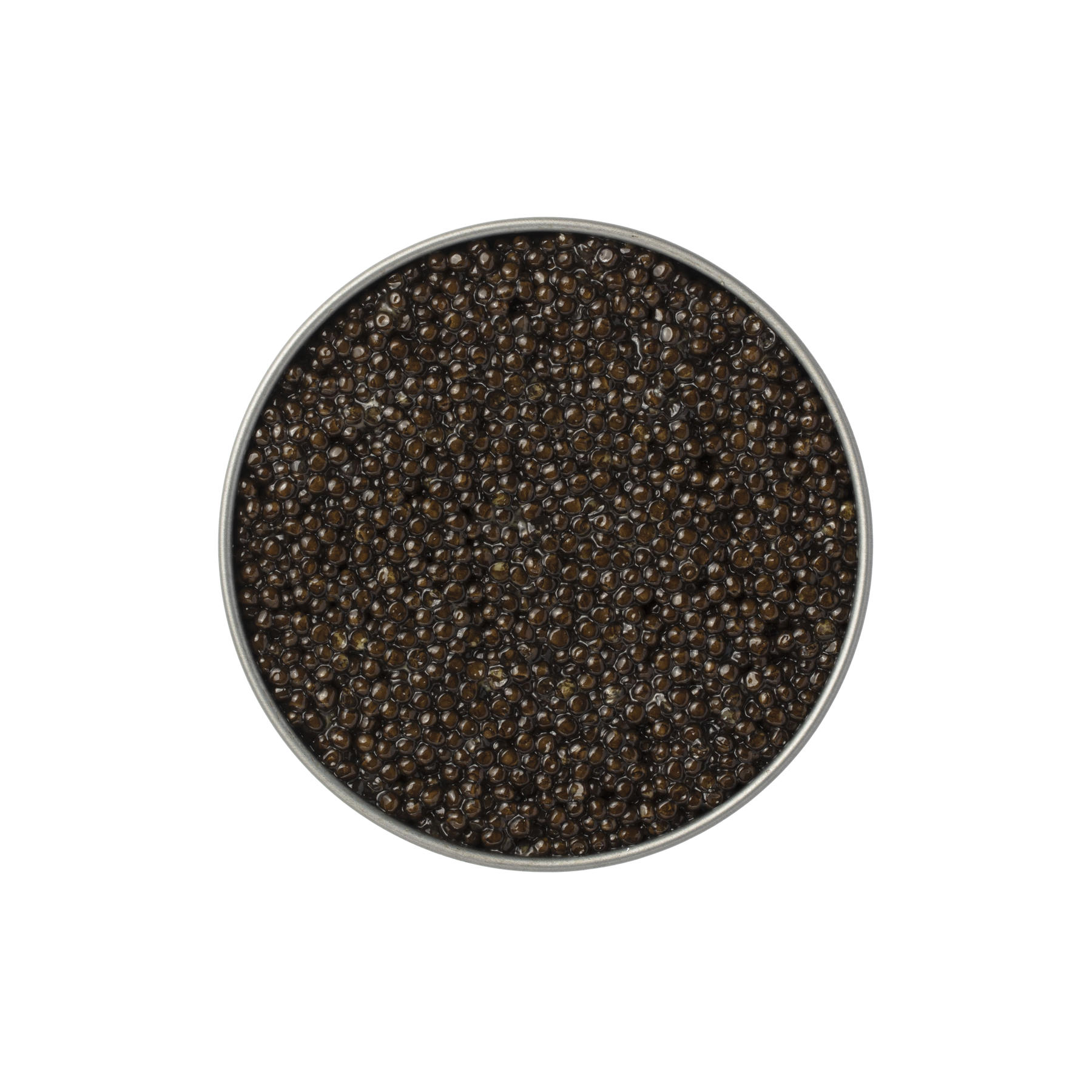 STARRY_NIGHT_CAVIAR_Baerii.png